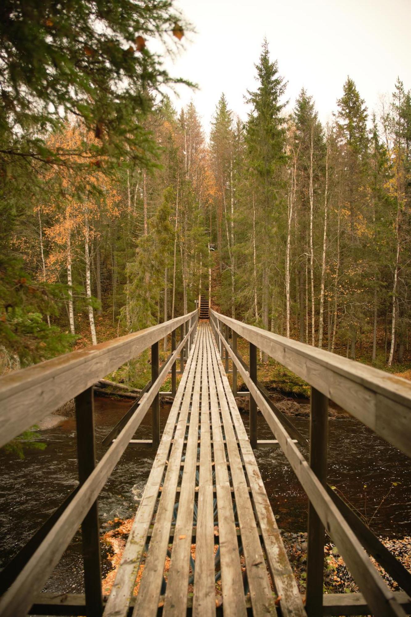 Готель Langforsen Glamping & Lapland Experience Lapptrask Екстер'єр фото