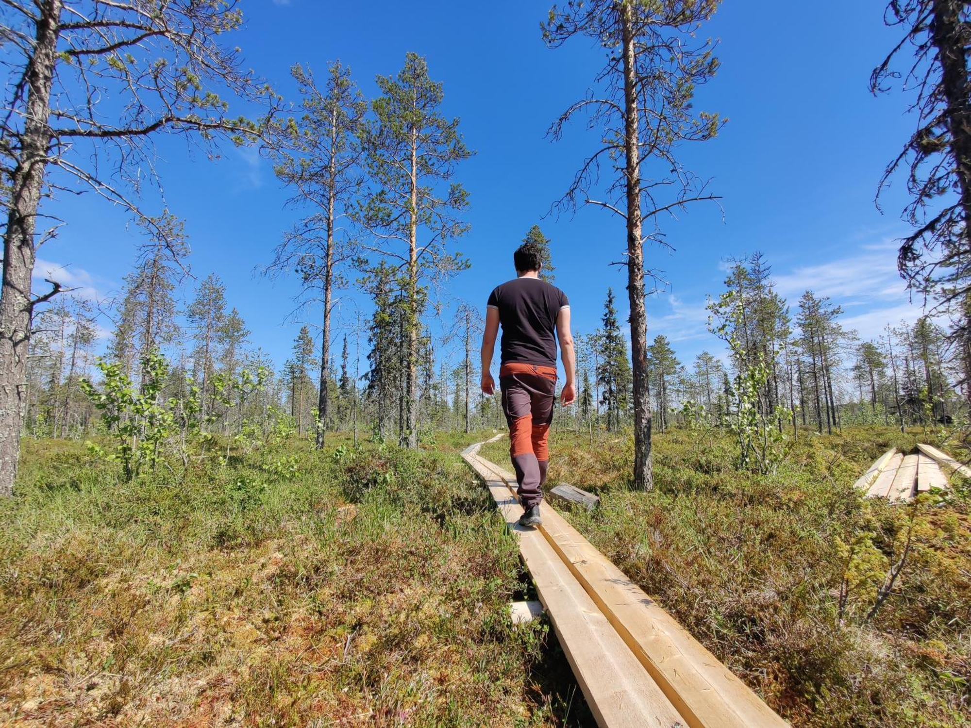 Готель Langforsen Glamping & Lapland Experience Lapptrask Екстер'єр фото